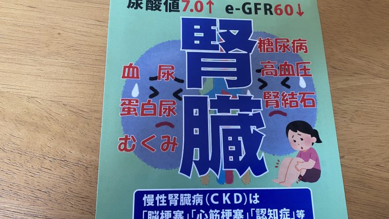 【その漢方薬とサプリメント合ってる？】透析治療を避けるために知ってたほうが良い事