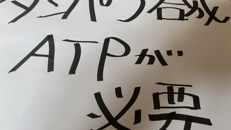 タンパク合成にはATPが必要【当たり前】だが知らんでしょう？炭水化物抜きは無駄です～